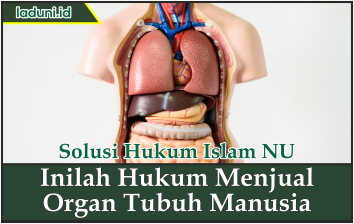 Inilah Hukum Menjual Organ Tubuh Manusia Bisnis Dan Perdagangan Laduni Id